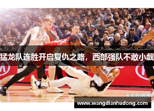 猛龙队连胜开启复仇之路，西部强队不敢小觑