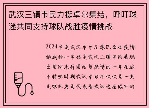 武汉三镇市民力挺卓尔集结，呼吁球迷共同支持球队战胜疫情挑战